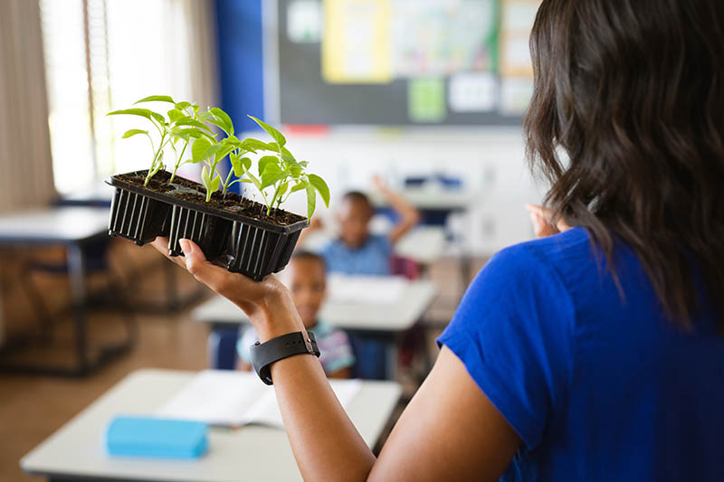 Rear view of female teacher holding plant seedlings while teaching in the class at elementary school